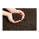 Soil Classification APK