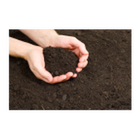 Soil Classification icône