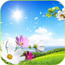 Summer Flowers LWP APK