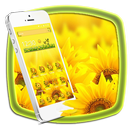Sunflower Sourire Launcher APK