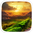 Sunflower Live Wallpaper Theme APK
