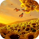 Video Wallpapers: Sunflowers H APK