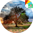 Sunset XpeRian Theme APK