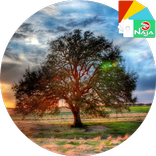 Sunset XpeRian Theme