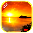 Ocean Sunset Live Wallpaper HD aplikacja