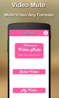 Video Mute poster