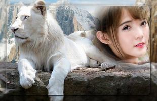 White Lion Photo Frames Affiche