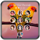 Birds Lock Screen APK