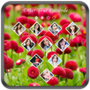 Flower Lock Screen APK