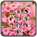 APK Pink Flower Lock Screen