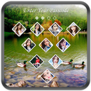 Pond Lock Screen APK