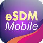 e-SDM Kota Surabaya icône