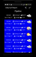 Eddy Surf Report screenshot 3
