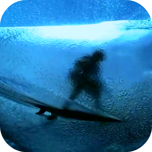 Surfing HD Video Wallpaper