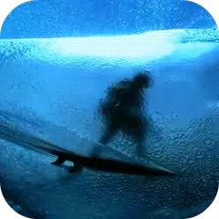 Surfing HD Video Wallpaper APK download