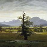 Wuthering Heights (novel by Emily Brontë)