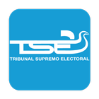 TSE SV icon