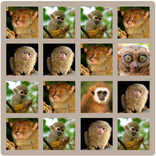 ”2048 Monkeys