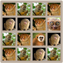 2048 Monkeys APK