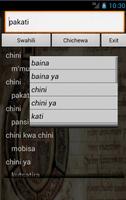 Swahili Chichewa Dictionary-poster