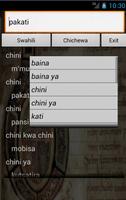Swahili Chichewa Dictionary Affiche