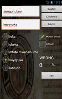 Swahili Chichewa Dictionary capture d'écran 1
