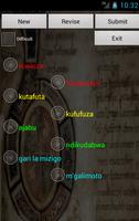 Swahili Chichewa Dictionary capture d'écran 2