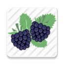 Fruits in Swahili APK