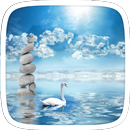 Swan Lake Theme APK