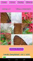 Butterfly Photo Puzzle poster