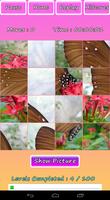 Butterfly Photo Puzzle capture d'écran 1