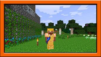Swords mod for minecraft Plakat