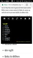 Hindi Dictionary Pro 截图 1