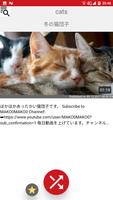 Random Video ภาพหน้าจอ 1