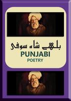 Bulleh Shah Kehnde ne Sufi Poetry Affiche