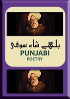 Bulleh Shah Kehnde ne Sufi Poetry capture d'écran 1