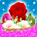 Blossom Crush Garden