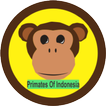 Primates Of Indonesia