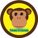 Primates Of Indonesia APK