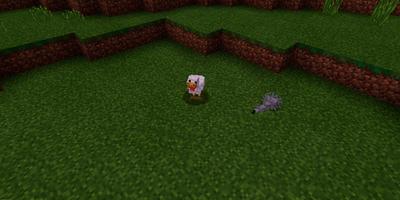 Poke balls. MCPE map screenshot 2