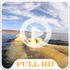 Polar Bears Video LWP APK