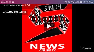 sindh news online bài đăng