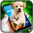 Dog On Screen - Funny Joke APK