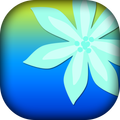 Gallery - Photo Gallery Quick & HD