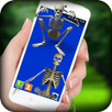 Skeleton On Screen APK