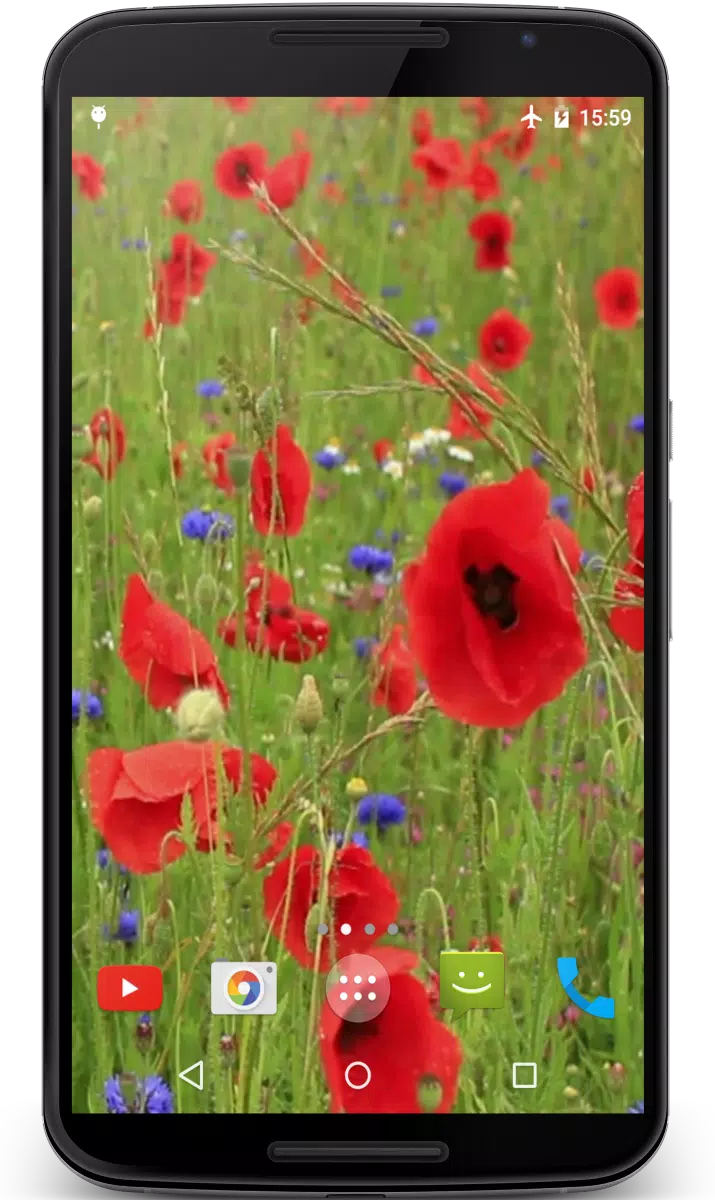 Poppy Flower Live Wallpaper APK for Android Download