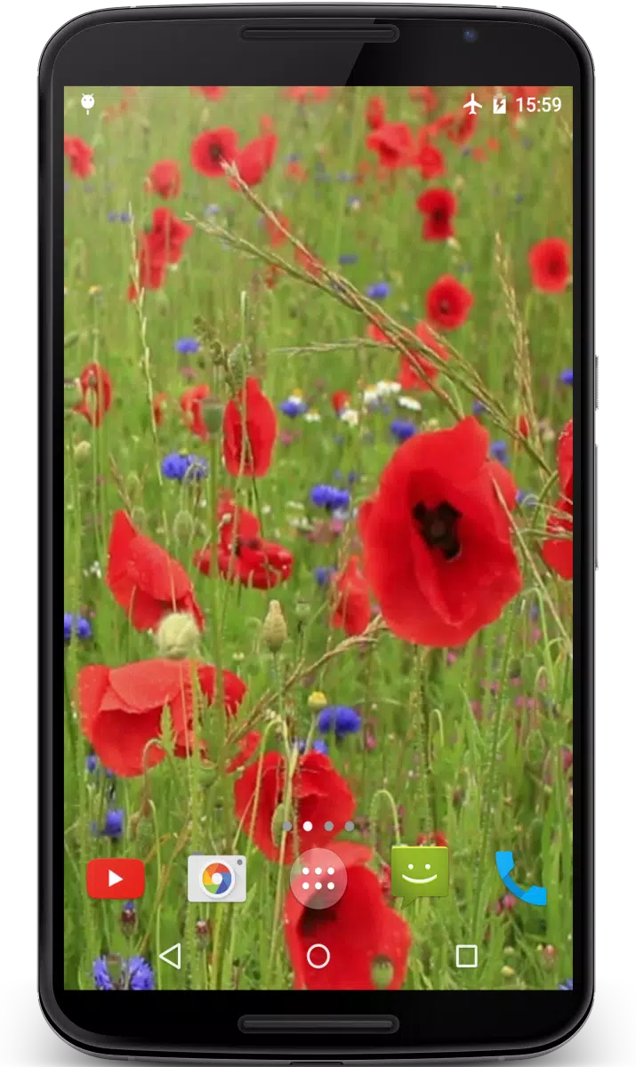 Poppy Flower Live Wallpaper APK for Android Download Poppy Flower Live Wallpaper APK for Android Download