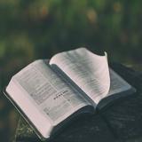 King James Study Bible (Trial  أيقونة