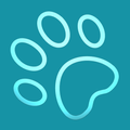 Paws 911