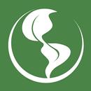 PLV APK